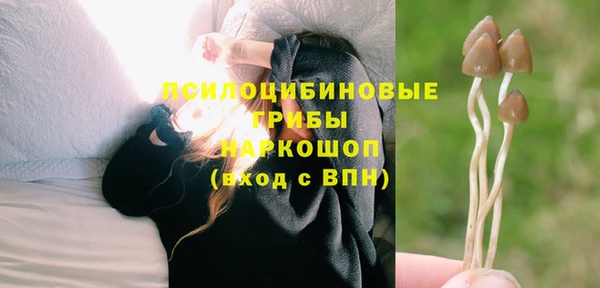 стаф Армянск