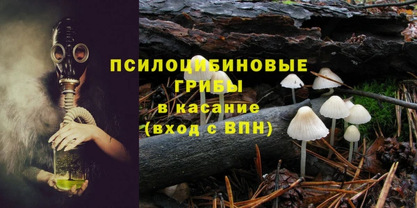стаф Армянск