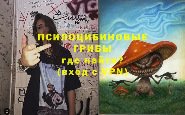 соль ск Арсеньев