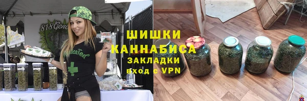 соль ск Арсеньев