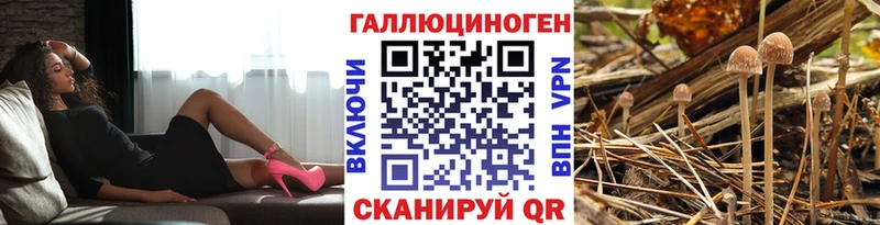 наркотики  Суджа  Галлюциногенные грибы прущие грибы 
